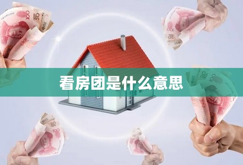 看房团是什么意思