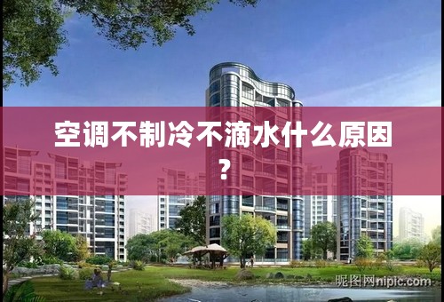 空调不制冷不滴水什么原因？