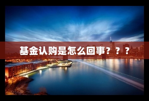 基金认购是怎么回事？？？