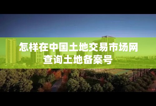 怎样在中国土地交易市场网查询土地备案号
