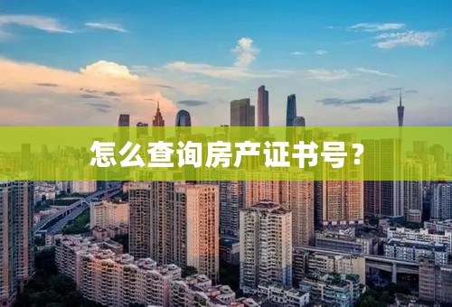 怎么查询房产证书号？