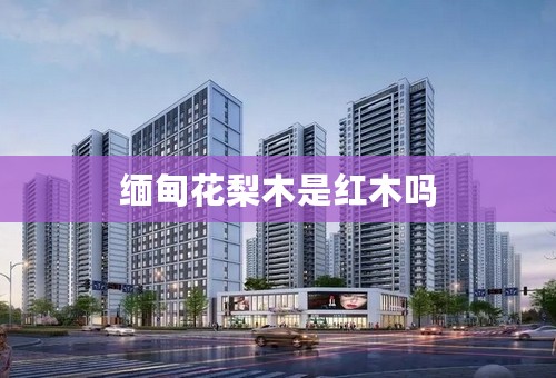 缅甸花梨木是红木吗