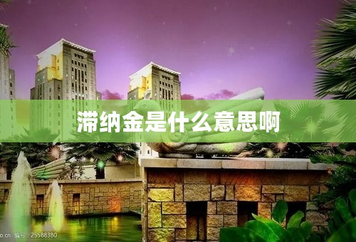 滞纳金是什么意思啊
