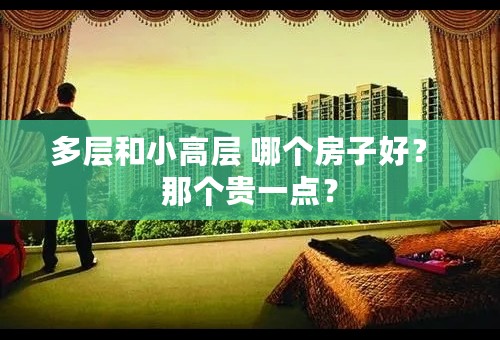 多层和小高层 哪个房子好？ 那个贵一点？