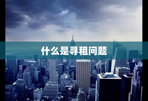 什么是寻租问题