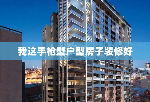 我这手枪型户型房子装修好