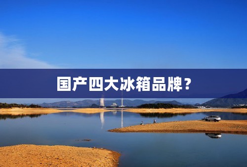 国产四大冰箱品牌？