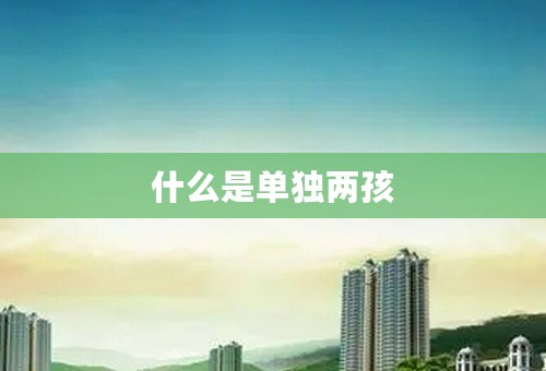 什么是单独两孩