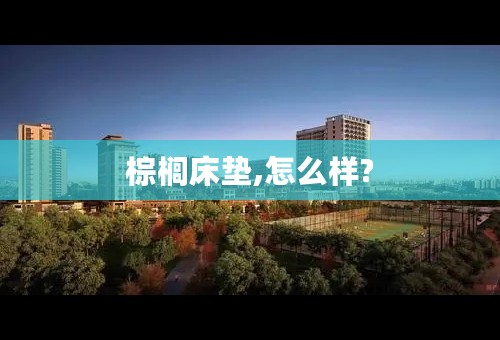 棕榈床垫,怎么样?