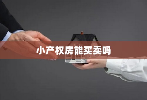 小产权房能买卖吗