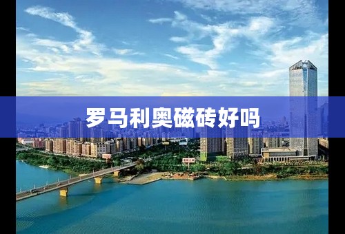 罗马利奥磁砖好吗