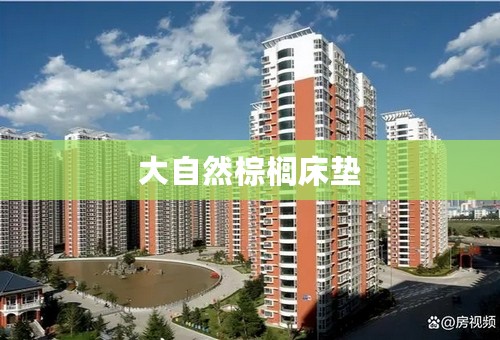 大自然棕榈床垫