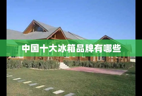 中国十大冰箱品牌有哪些