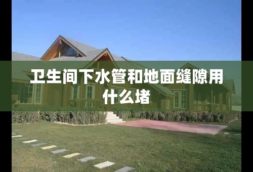 卫生间下水管和地面缝隙用什么堵