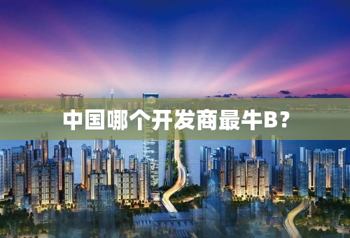 中国哪个开发商最牛B？