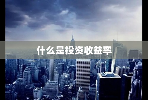 什么是投资收益率