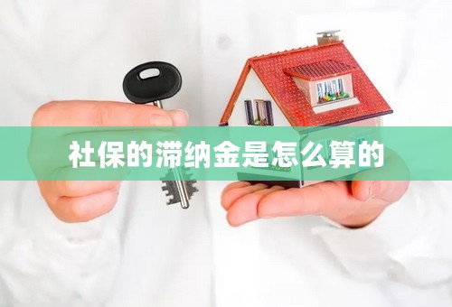 社保的滞纳金是怎么算的