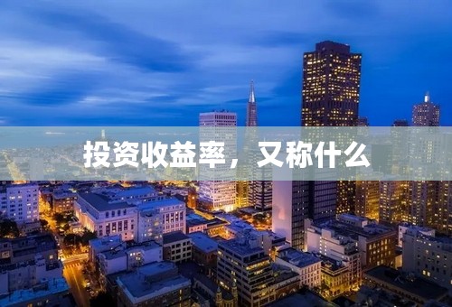 投资收益率，又称什么