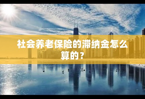 社会养老保险的滞纳金怎么算的？
