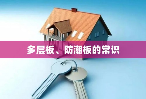 多层板、防潮板的常识