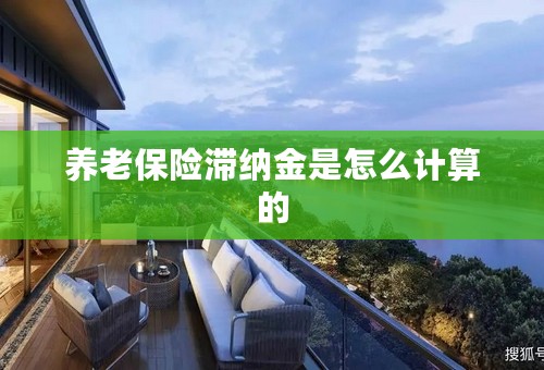 养老保险滞纳金是怎么计算的