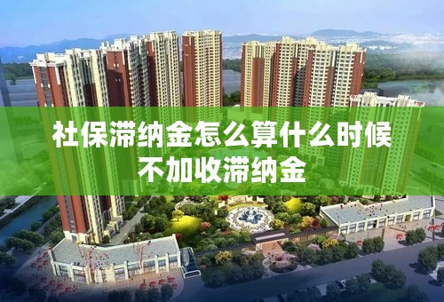 社保滞纳金怎么算什么时候不加收滞纳金
