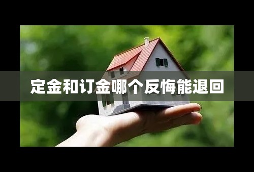 定金和订金哪个反悔能退回