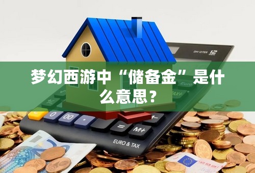 梦幻西游中“储备金”是什么意思？