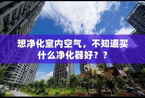想净化室内空气，不知道买什么净化器好？？