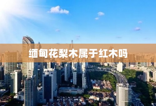 缅甸花梨木属于红木吗
