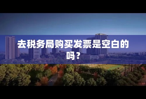 去税务局购买发票是空白的吗？