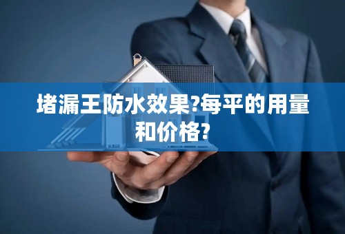 堵漏王防水效果?每平的用量和价格?