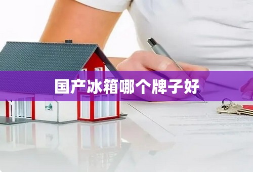 国产冰箱哪个牌子好