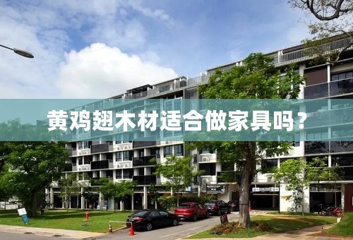 黄鸡翅木材适合做家具吗？