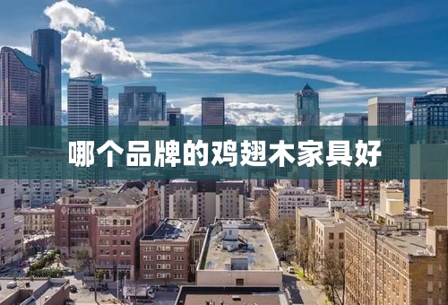 哪个品牌的鸡翅木家具好