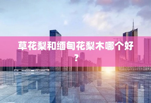 草花梨和缅甸花梨木哪个好？