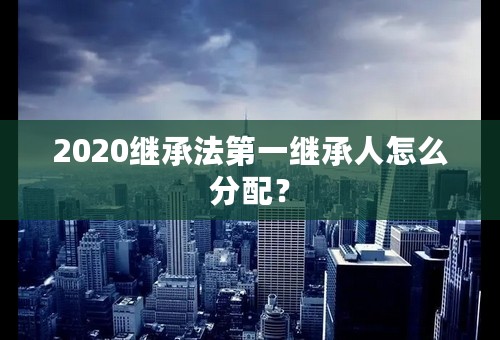 2020继承法第一继承人怎么分配？