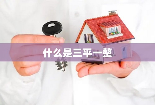 什么是三平一整