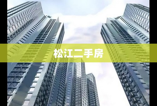 松江二手房