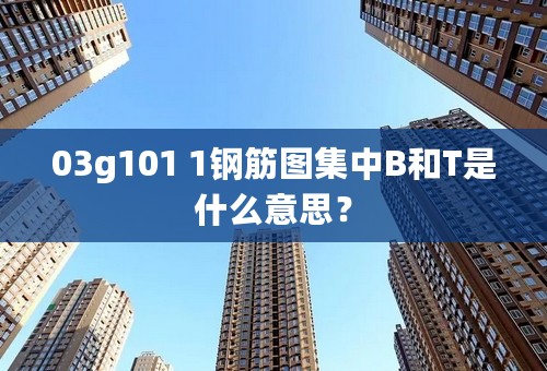 03g101 1钢筋图集中B和T是什么意思？