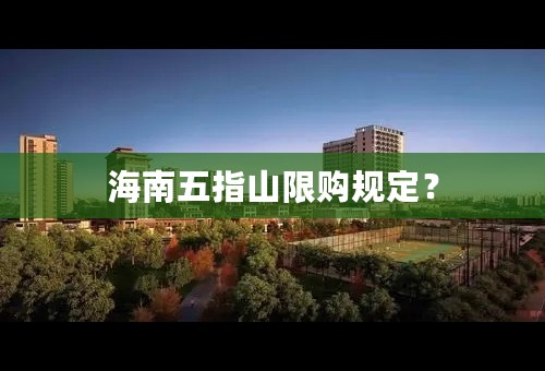 海南五指山限购规定？