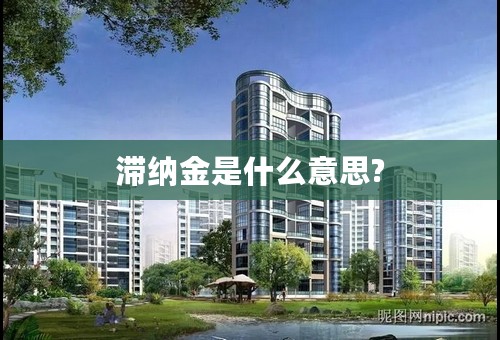 滞纳金是什么意思?