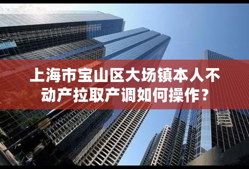 上海市宝山区大场镇本人不动产拉取产调如何操作？