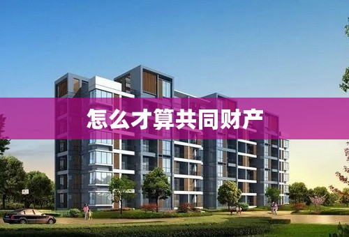 怎么才算共同财产