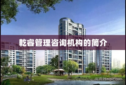 乾睿管理咨询机构的简介