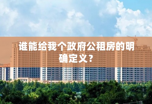 谁能给我个政府公租房的明确定义？