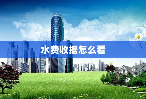 水费收据怎么看