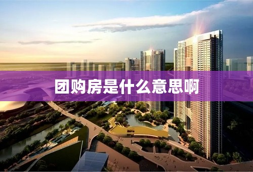 团购房是什么意思啊
