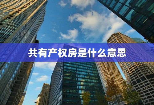 共有产权房是什么意思