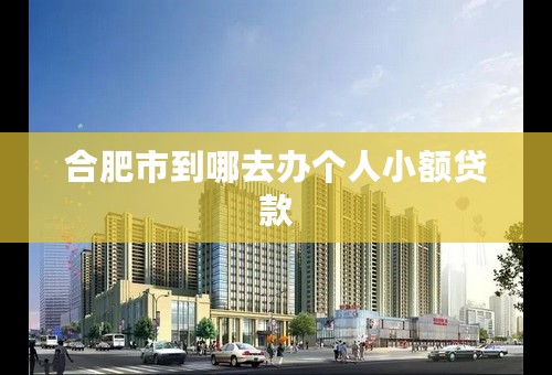 合肥市到哪去办个人小额贷款